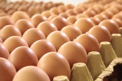 贺州鸡蛋检测价格,鸡蛋检测机构,鸡蛋检测项目,鸡蛋常规检测